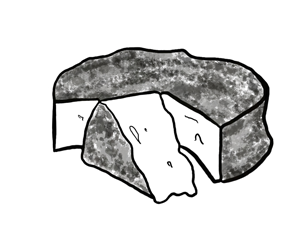 Black and white illustration of Brie cheese